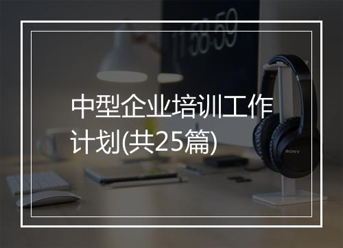 中型企业培训工作计划(共25篇)