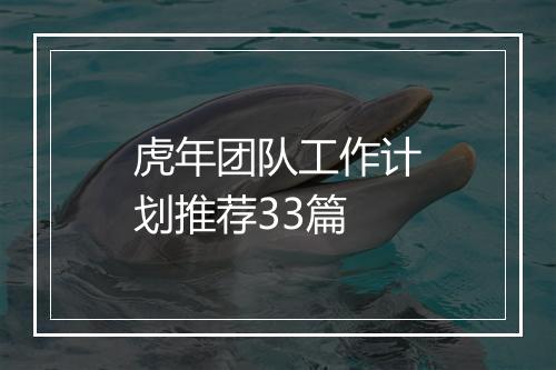 虎年团队工作计划推荐33篇