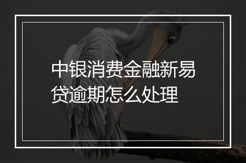 中银消费金融新易贷逾期怎么处理