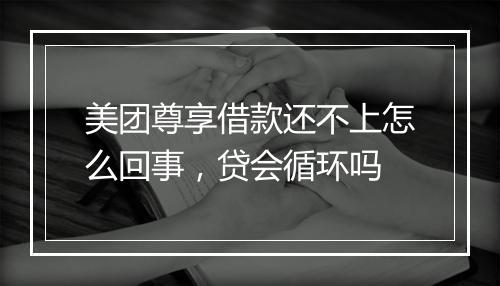 美团尊享借款还不上怎么回事，贷会循环吗