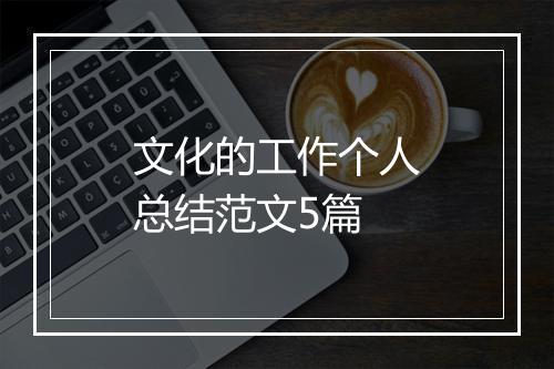 文化的工作个人总结范文5篇