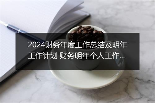 2024财务年度工作总结及明年工作计划 财务明年个人工作计划精选10篇