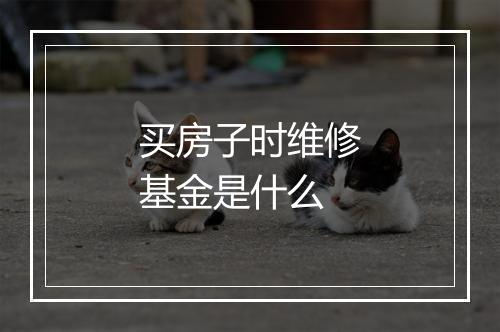 买房子时维修基金是什么