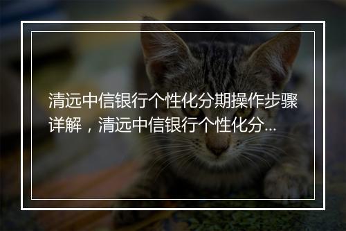 清远中信银行个性化分期操作步骤详解，清远中信银行个性化分期办理流程
