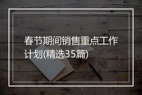 春节期间销售重点工作计划(精选35篇)
