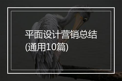 平面设计营销总结(通用10篇)