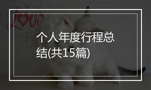 个人年度行程总结(共15篇)