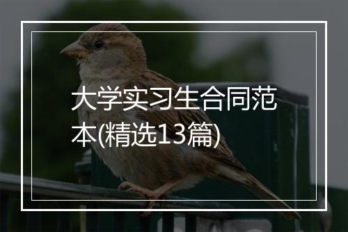 大学实习生合同范本(精选13篇)