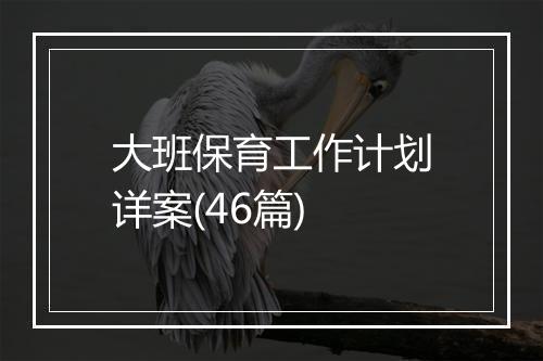 大班保育工作计划详案(46篇)