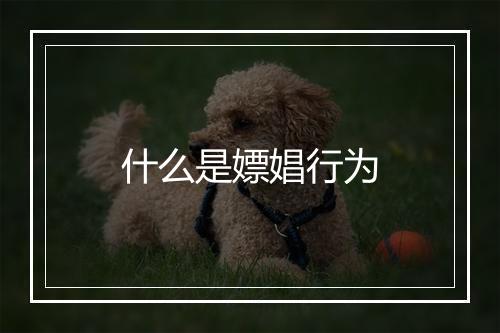 什么是嫖娼行为
