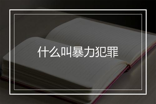 什么叫暴力犯罪