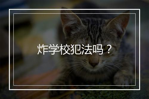 炸学校犯法吗？