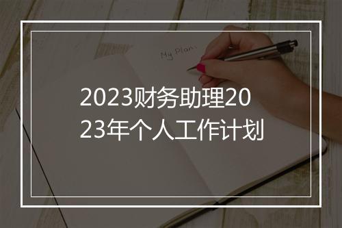 2023财务助理2023年个人工作计划