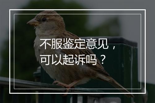 不服鉴定意见，可以起诉吗？