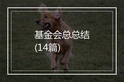 基金会总总结(14篇)