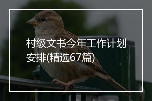 村级文书今年工作计划安排(精选67篇)