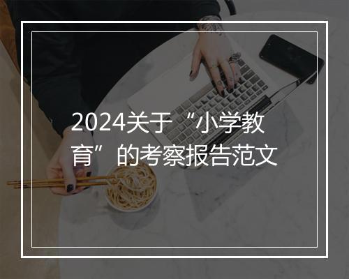 2024关于“小学教育”的考察报告范文
