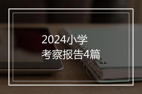 2024小学考察报告4篇