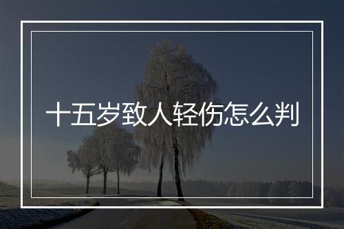 十五岁致人轻伤怎么判