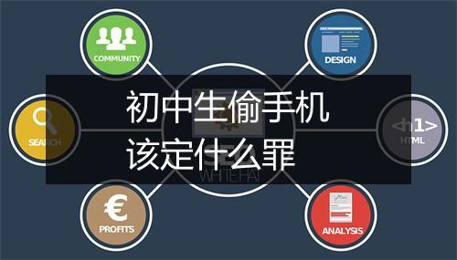 初中生偷手机该定什么罪