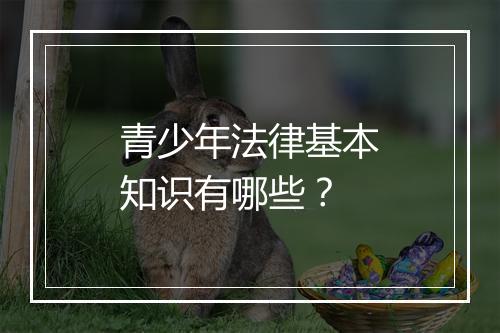 青少年法律基本知识有哪些？