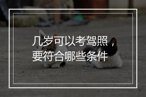 几岁可以考驾照，要符合哪些条件