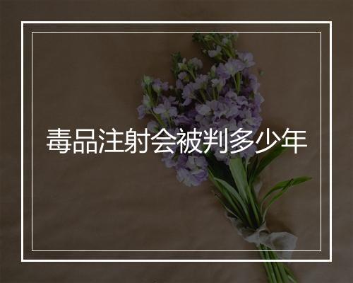 毒品注射会被判多少年