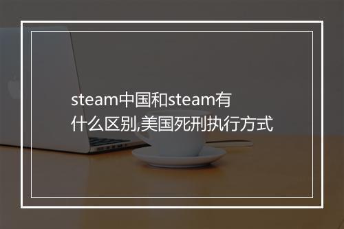 steam中国和steam有什么区别,美国死刑执行方式
