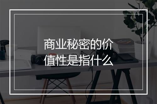 商业秘密的价值性是指什么