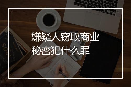嫌疑人窃取商业秘密犯什么罪
