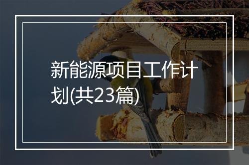 新能源项目工作计划(共23篇)