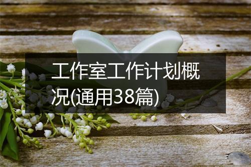 工作室工作计划概况(通用38篇)