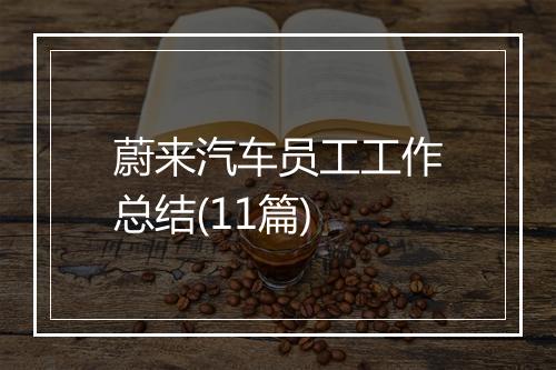 蔚来汽车员工工作总结(11篇)