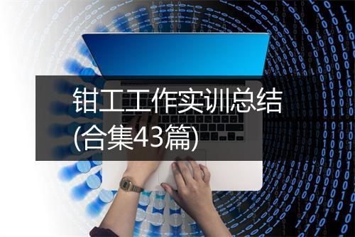 钳工工作实训总结(合集43篇)