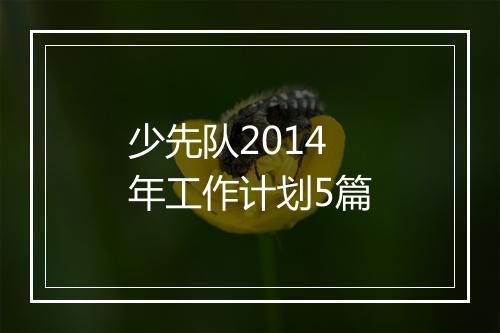 少先队2014年工作计划5篇
