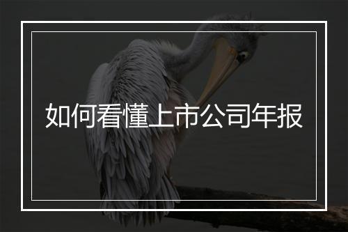 如何看懂上市公司年报