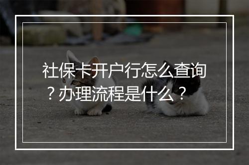 社保卡开户行怎么查询？办理流程是什么？