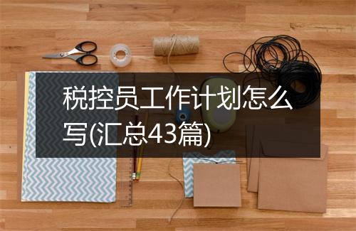 税控员工作计划怎么写(汇总43篇)