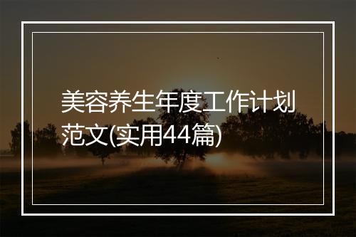 美容养生年度工作计划范文(实用44篇)