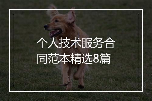个人技术服务合同范本精选8篇