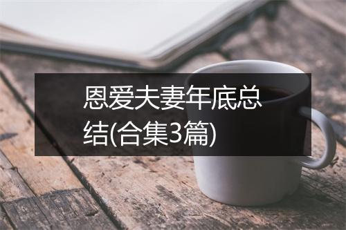 恩爱夫妻年底总结(合集3篇)