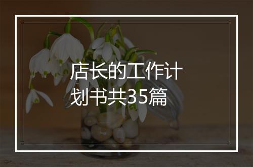 店长的工作计划书共35篇