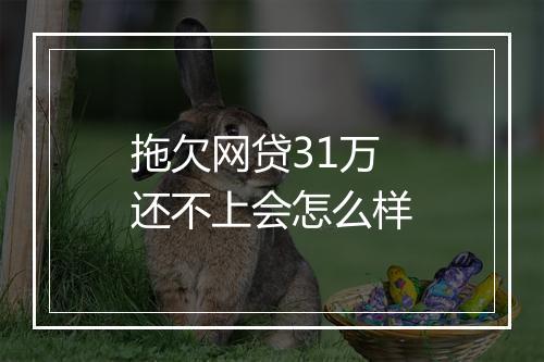 拖欠网贷31万还不上会怎么样