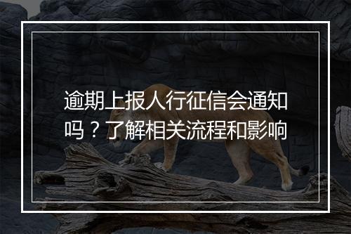 逾期上报人行征信会通知吗？了解相关流程和影响
