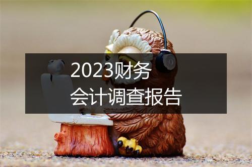 2023财务会计调查报告