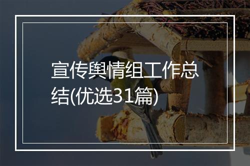 宣传舆情组工作总结(优选31篇)