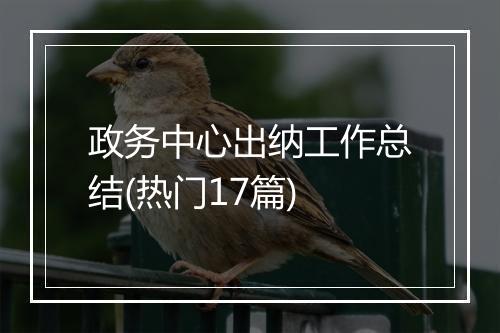 政务中心出纳工作总结(热门17篇)