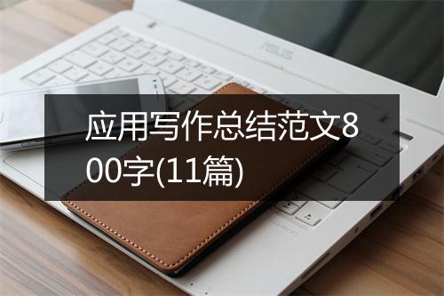 应用写作总结范文800字(11篇)