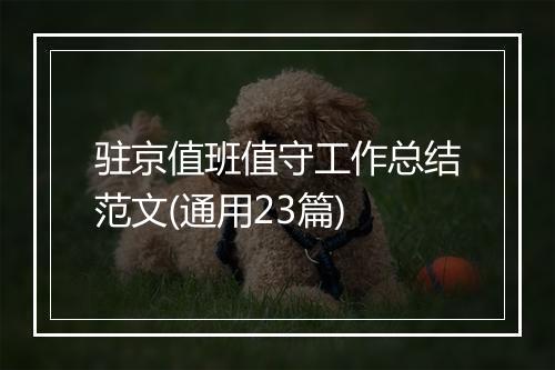 驻京值班值守工作总结范文(通用23篇)