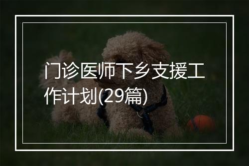 门诊医师下乡支援工作计划(29篇)